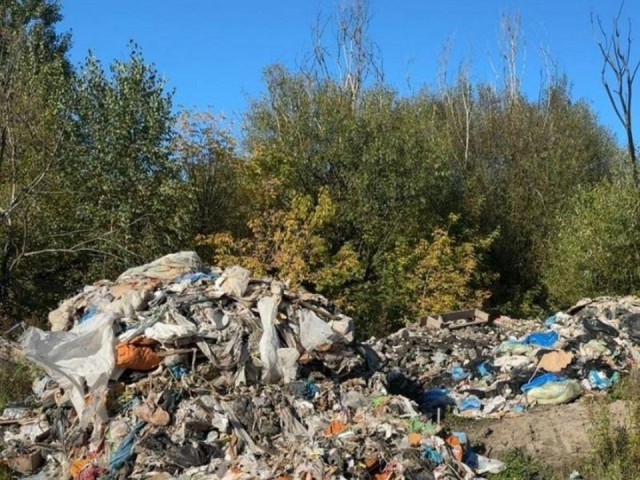 Апелляция не помогла щелковскому предпринимателю избежать возмещения ущерба от свалки