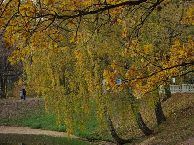Гулять по паркам, на выставки и в кино зовет афиша Красногорска на 26 октября