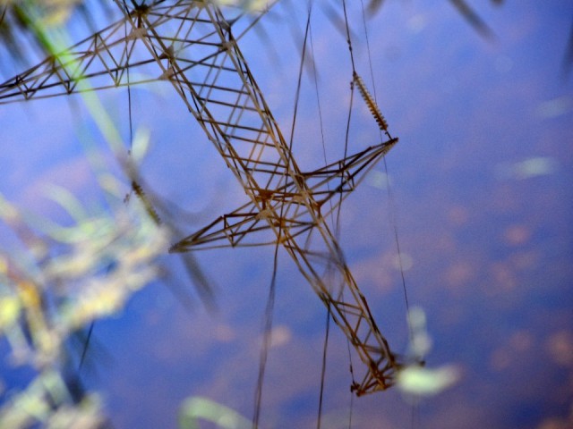 Энергетики Шаховской проведут работы для улучшения электроснабжения