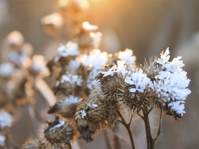 Когда в Подмосковье ударят первые морозы: синоптики назвали дату