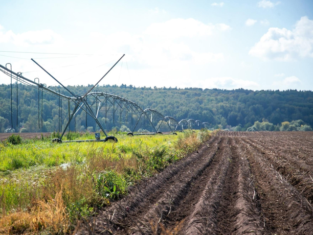 Коломенских аграриев наградили за вклад в развитие сельского хозяйства