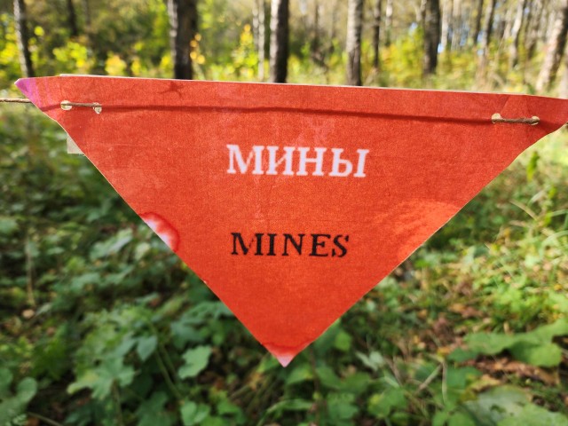 Юнармейцы Солнечногорска прошли «минное поле» во время военно-полевой игры