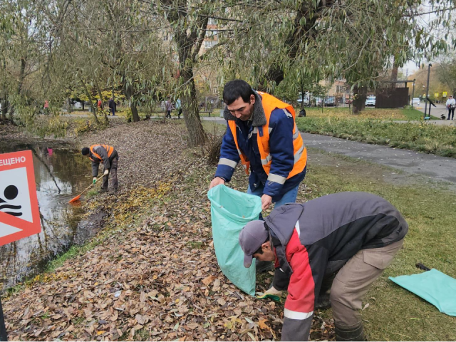 Чистые берега и уютные тропинки: как осенняя уборка в «Наташинских прудах» сделала прогулки приятнее