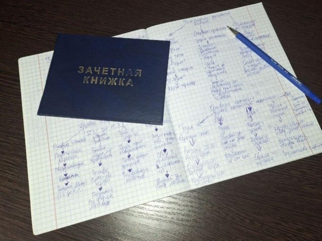 От сиротского приюта до диплома: как губернаторская стипендия меняет жизни студентов Луховиц