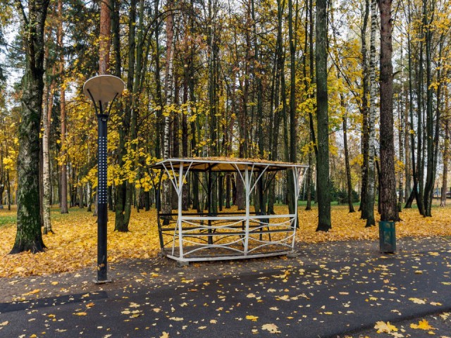 От свайного поля до пляжной зоны: история преображения «Липовой аллеи» в Богородском округе