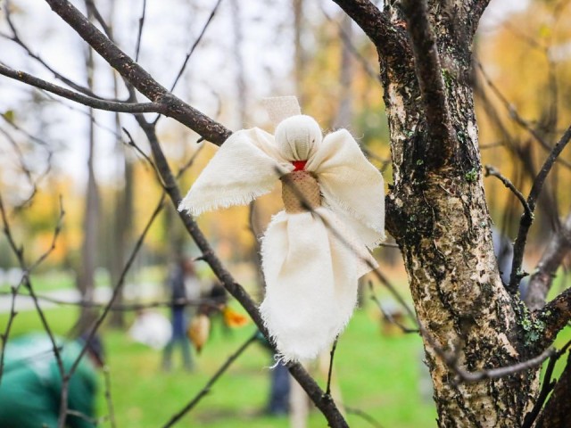 «Береги и помни»: в Раменском березы стали символом памяти героев СВО
