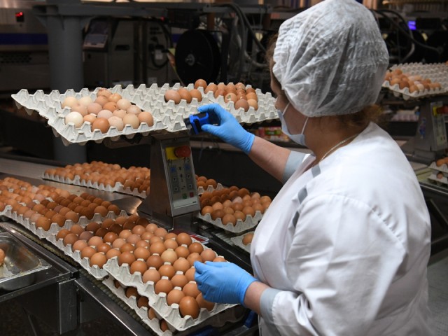 В Чехове запустят производство меланжа и вареных яиц