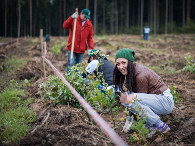 Около 2,7 тыс. деревьев высадили на экологической акции в Люберцах