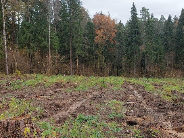 Филиал «Русский лес» Ступина подготовил почву для весенних посадок