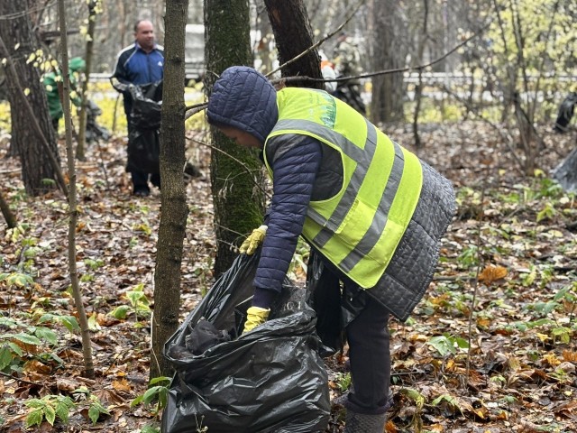 Кубометры мусора: в Воскресенске прошла масштабная уборка леса