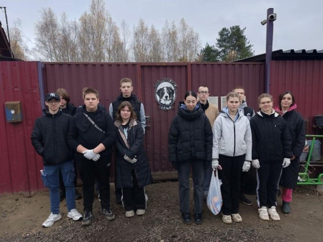 Лапы вверх! Студенты спасли приют от хаоса: бездомным собакам Павловского Посада подарили второй шанс