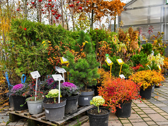 В питомнике «Вашутино» представили тысячи растений со всех климатических зон
