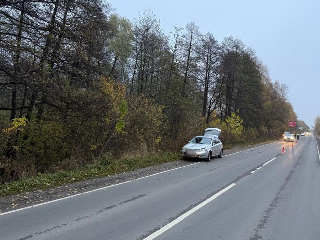 Полиция разыскивает водителя, сбившего пешехода в Воскресенске