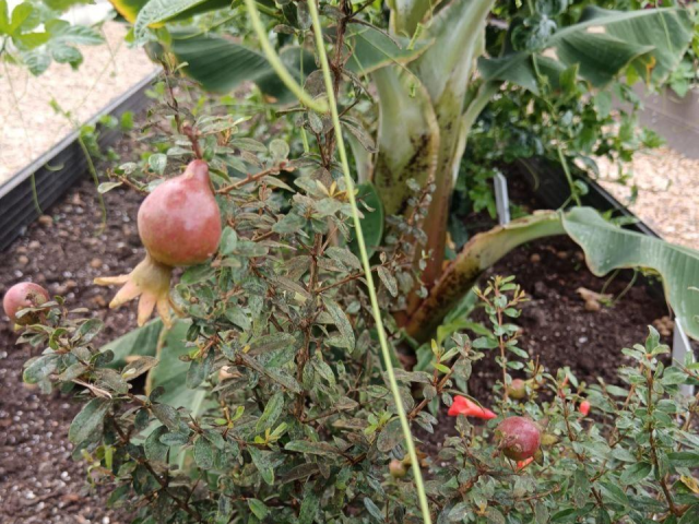 В Подмосковье создают новые методы экологического земледелия