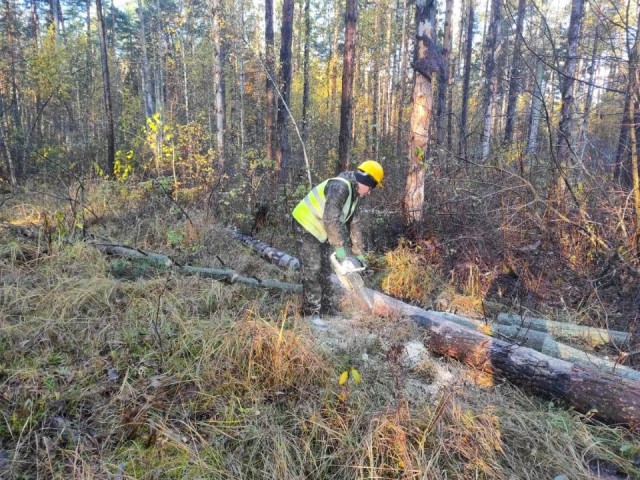 В лесах Шатуры началась генеральная уборка