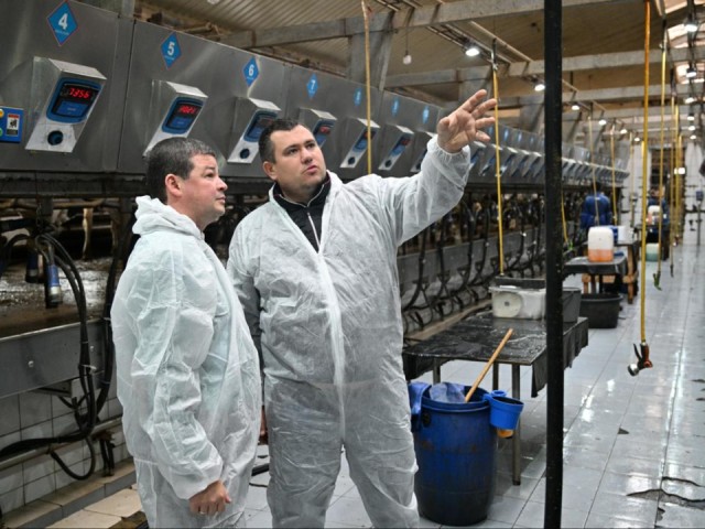 Сельхозпроизводителям Раменского округа выделили ₽90 млн субсидий