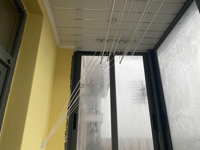 Пушкинские балконы под присмотром: власти ищут «лекарство» от протечек