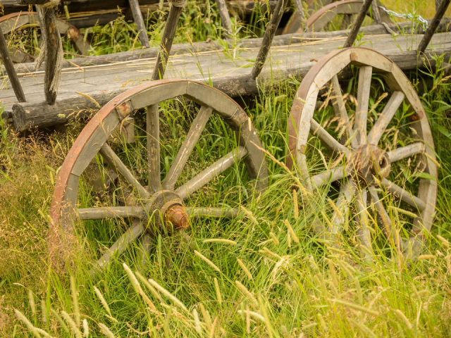 Тайный обряд с колесом: как предсказать зиму по осенней грязи в день Осия Колесника 30 октября