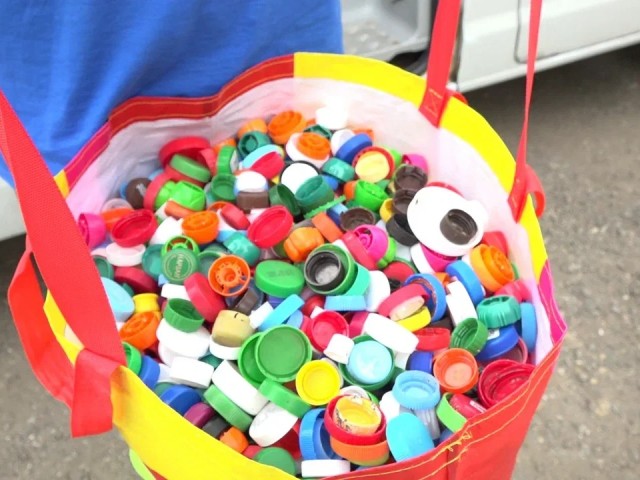 Осенний экодень: что можно и нельзя нести на акцию в Мытищах