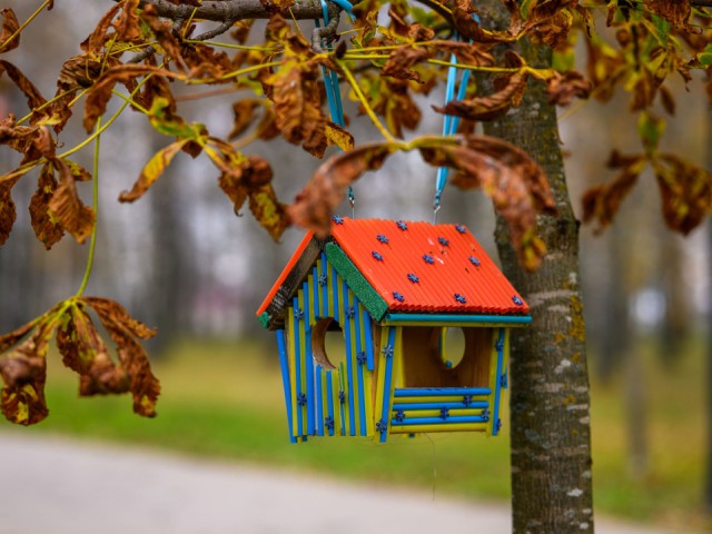 Площадь Карла Маркса: что обустроили в Талдоме в 2025 году