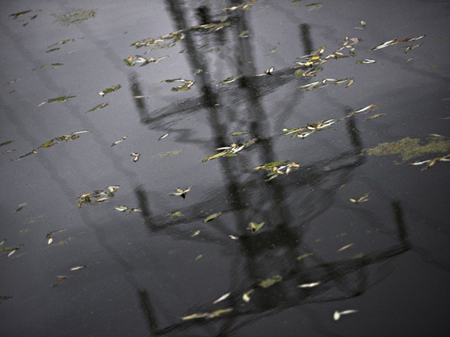 В Кобылино и СНТ Рассвет обновят линии электроснабжения 22 октября