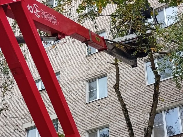 Домоклов меч устранен: в Сергиевом Посаде произвели удаление и опиловку аварийных деревьев