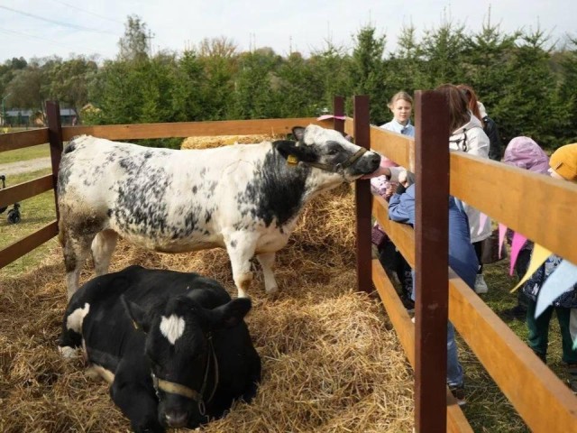 Сказка стала былью: в Наро-Фоминске оживили героев писателей
