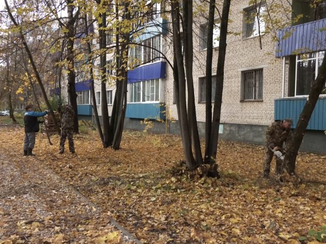 На улицах Сахарова и Мичурина проредили кусты во дворах