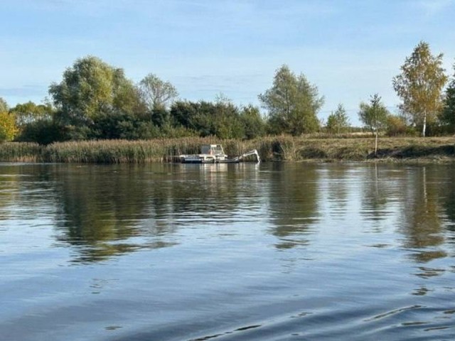 В Орехово-Зуеве от зарослей очистили 15 водоемов