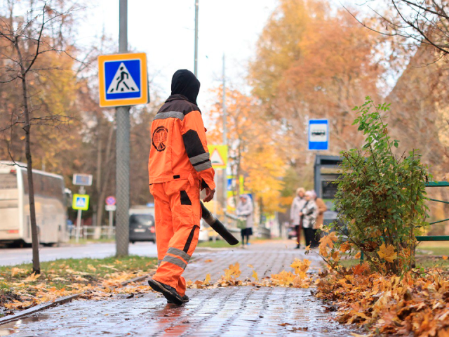 Коммунальные службы вывезли более 250 кубометров мусора во время осеннего субботника
