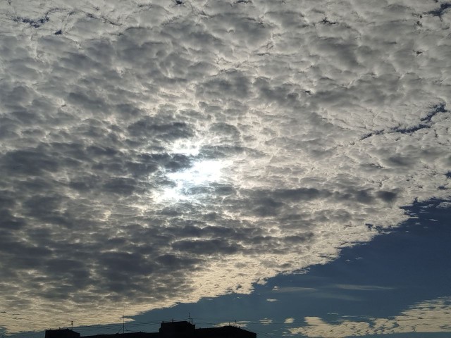 Мощный циклон принесет непогоду в Подмосковье со шквалистым ветром