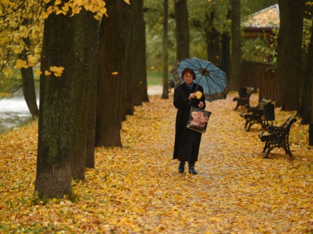 Жуткий ливень, ветер и +4°С: синоптики дали неутешительный прогноз для Подмосковья