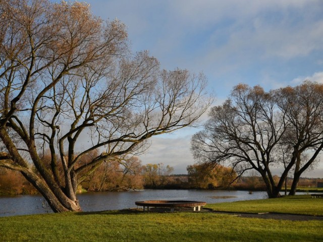 Пилатес, йога и степ-аэробика: большой фитнес-фест организуют на «Бронницком лугу»