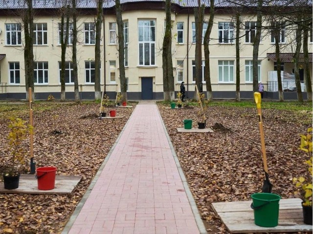 «Тропа защитников Отечества» в Чехове: как будет работать «зеленый коридор» для бойцов СВО