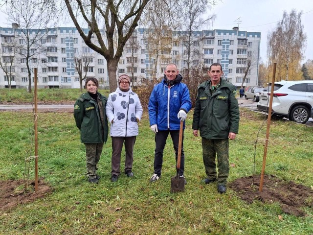 От серой унылости до зеленого оазиса: история преображения двора в Запрудне