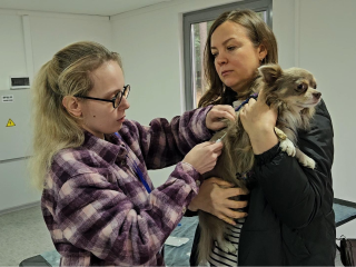 В парке Жуковского прививали и чипировали домашних питомцев