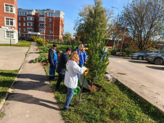 Аллея памяти появилась в жилом комплексе «Усадьба Суханово»