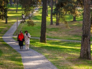 Температура поднимется до +16 градусов в Подмосковье в субботу
