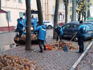 Подольск вошел в число округов-лидеров по ручной уборке дворов