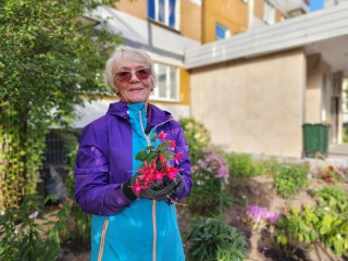 Пенсионерка из Фрязина поделилась секретами подготовки цветников к зиме