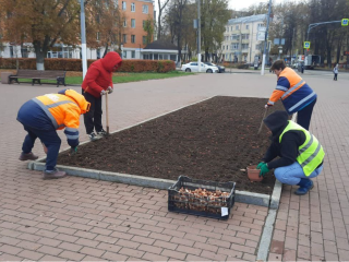 В Подольске городские клумбы и цветники готовят к зиме
