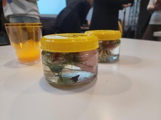 Черноголовцы освоили децеллюляризацию