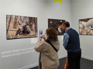 Фотограф из «Лосиного острова» представил работы на фестивале «Золотая черепаха»