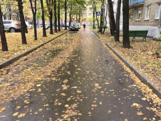 Коммунальные службы Реутова обновили более 10 дворов