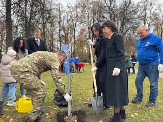 «Аллею отцов» посадили в сквере «Окский» в Коломне