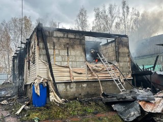Помогают всем миром: из-за пожара фармацевт из Орехово-Зуева и ее питомцы живут в бане