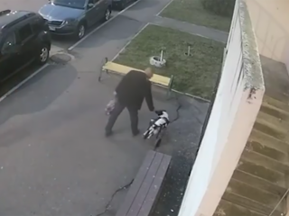 «Черт дернул»: Как избивший собаку-инвалида мужчина объяснил свои действия