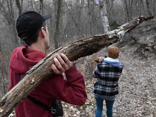 Жителям Видного напомнили о правилах законного сбора валежника