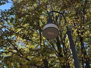 Коломна расцветает: где искать новые скамейки, фонари и клены — гид по свежим локациям