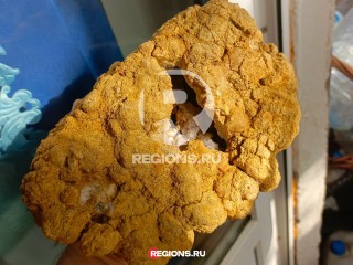 «Не хуже марокканских»: гигантский аметист найден на раскопках в Балашихе